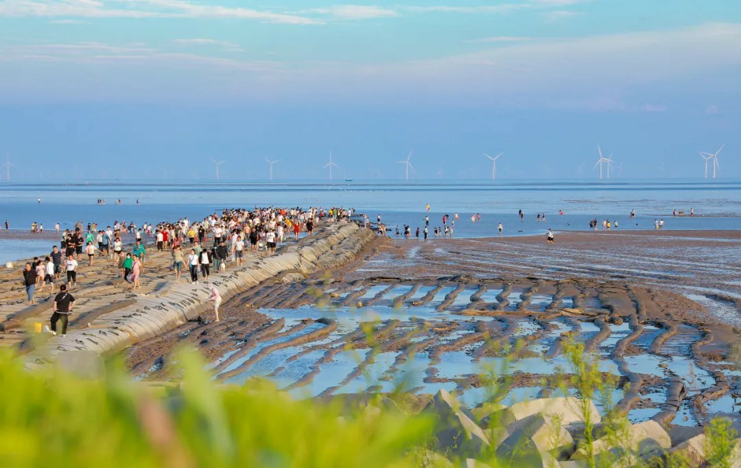 東臺條子泥宣傳片拍攝